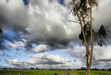 亚博体育官网：[球之夜]中国男：重燃信心 期待厦门主场.