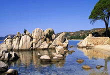 亚博体育官网:防守端的短板确实明显,但灰熊内线新秀在进攻端的优势同样突出?.